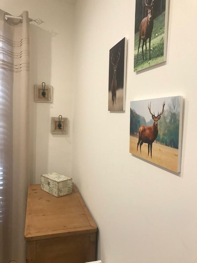 Apartament Neret II Sort Exteriér fotografie